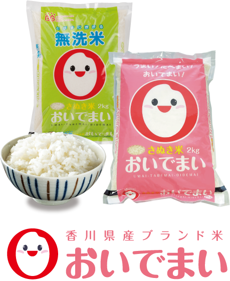 美味しい香川県のお米「おいでまい」はこんなお米です。