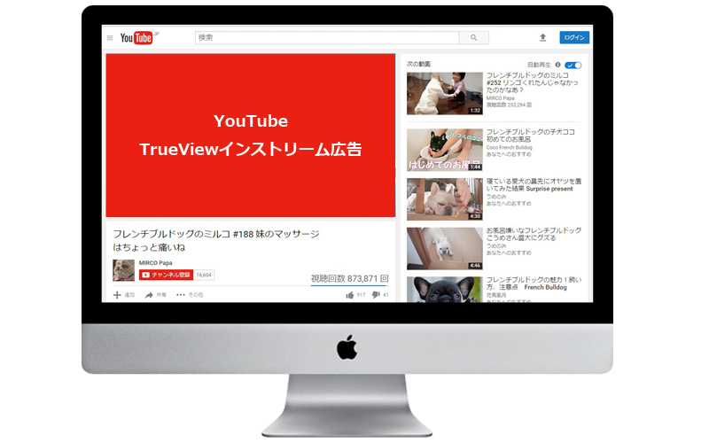 YouTube TrueViewインストリーム広告